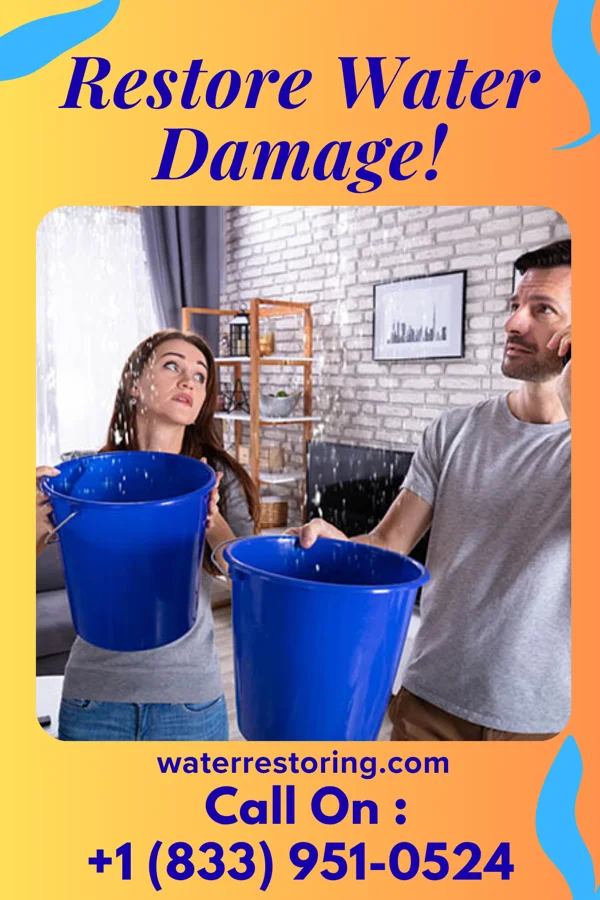 water restoration Swift Restoration Solutions Professionals Bronwood