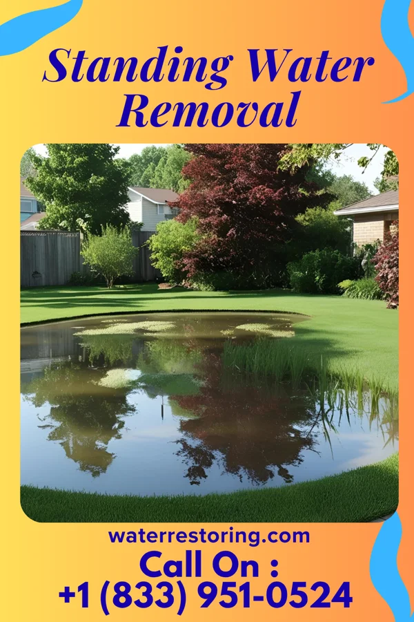 Standing Water Removal in Bronwood, GA
